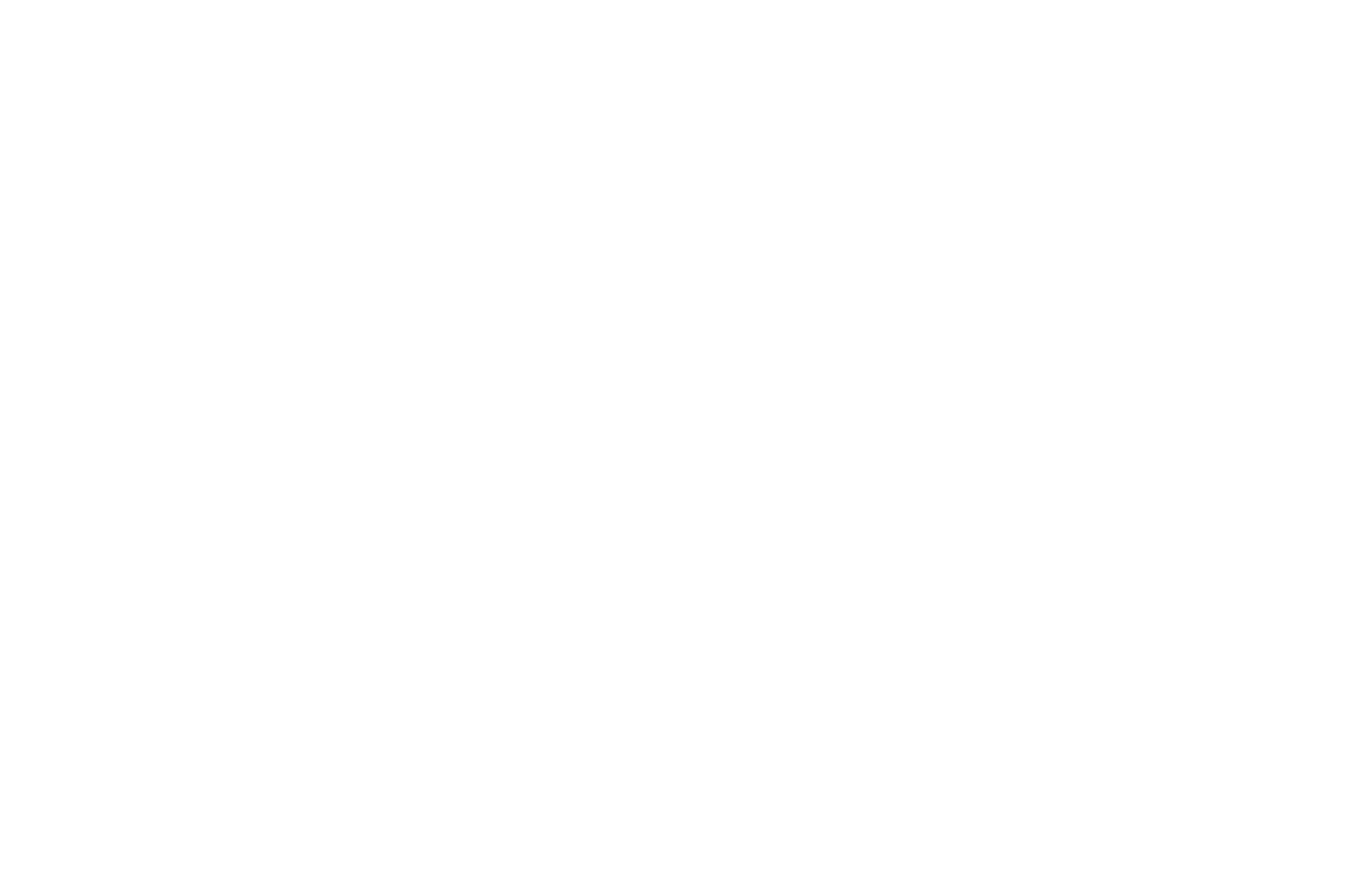 stellaロゴ