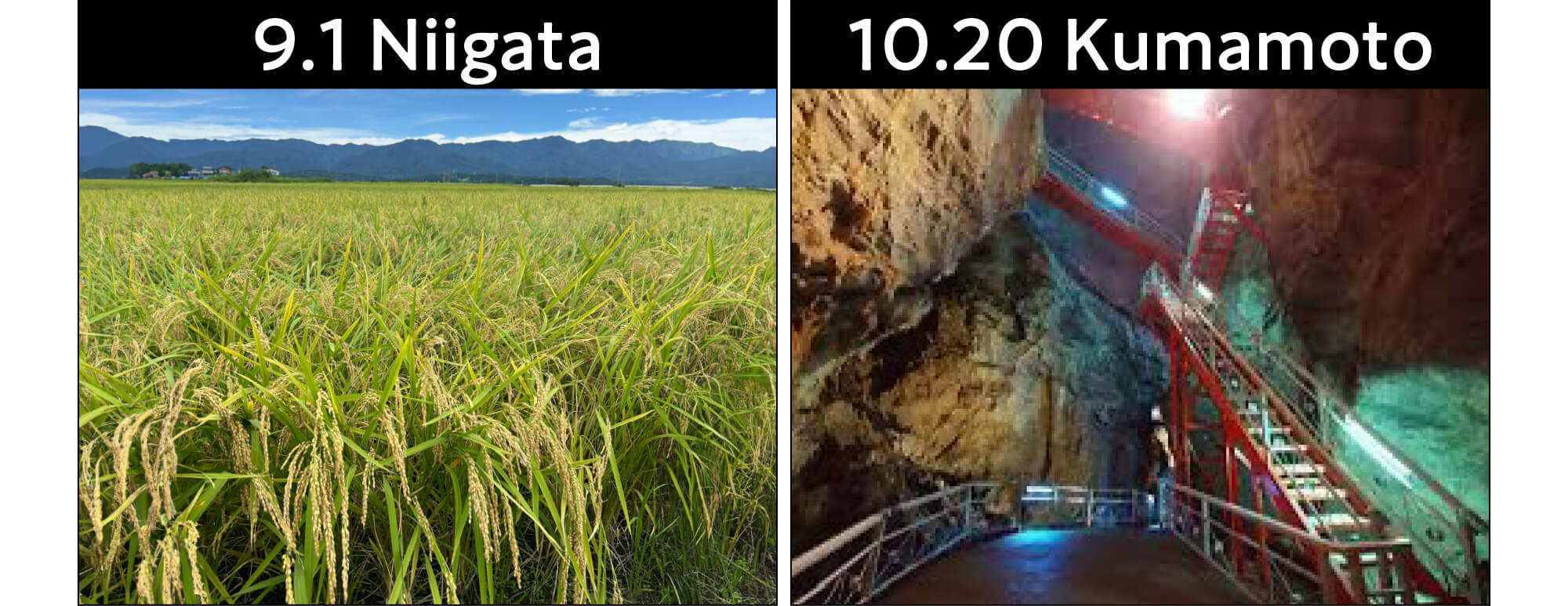 9.1新潟、10.20熊本